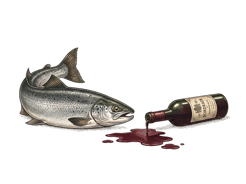 drinking like a fish2