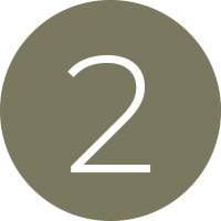 gold 2 gold 2